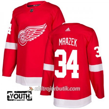 Barn Ishockey Detroit Red Wings Tröja Petr Mrazek 34 Adidas 2017-2018 Röd Authentic